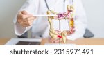 Small photo of Doctor with human Colon anatomy model. Colonic disease, Large Intestine, Colorectal cancer, Ulcerative colitis, Diverticulitis, Irritable bowel syndrome, Digestive system and Health concept