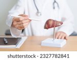 Small photo of Doctor with human Liver anatomy model. Liver cancer and Tumor, Jaundice, Viral Hepatitis A, B, C, D, E, Cirrhosis, Failure, Enlarged, Hepatic Encephalopathy, Ascites Fluid in Belly and health concept