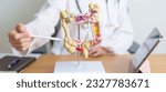 Small photo of Doctor with human Colon anatomy model and tablet. Colonic disease, Large Intestine, Colorectal cancer, Ulcerative colitis, Diverticulitis, Irritable bowel syndrome and Digestive system