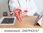 Small photo of Doctor with Uterus and Ovaries anatomy model and tablet. Ovarian and Cervical cancer, Cervix disorder, Endometriosis, Hysterectomy, Uterine fibroids, Reproductive system, Pregnancy