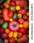 Small photo of Different varieties of yellow red tomato. Fresh colorful assorted tomatoes background, close up. Delicious Heirloom Tomatoes in summer