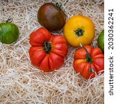 Small photo of Green yellow red tomatoes on wood straw background, closeup. Best Heirloom Tomato Varieties in country market. Delicious Heirloom Tomatoes mix in summer