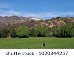 hollywood sign at los angeles with blue sky and sun shine