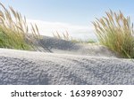 Wide Beach And Dune Grass At...