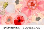 flower colorful background... | Shutterstock . vector #1204862737