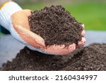 Small photo of Hand holding peat moss organic matter improve soil for agriculture organic plant growing, ecology concept.