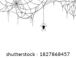 spider  hanging from spiderwebs ... | Shutterstock .eps vector #1827868457
