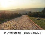 Close-up of cobblestone road on mountain forest landscape background. Bottom view. Defocused foreground.
