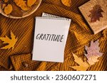 Small photo of How to Practice Gratitude. Writing Autumn fall gratitude journal. Open paper notebook pages with Text gratitude and fall leaves brown bed. Notice appreciate good things, Express gratitude to yourself.