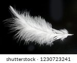 White Feather Isolated On Black ...