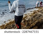 Small photo of latin man cleaning sargasso and trash with rake with text in his tshirt "beach cleaning" in mexican Caribbean beach, Mexico Playa del Carmen, Latin America