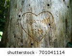 Carved Sweetheart's Name In A...