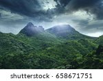 El Yunque National Forest Is A...