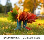 Autumn Bouquet Of Multicolored...