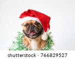 French Bulldog In Christmas And ...
