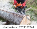 Power Chainsaw In Logging...