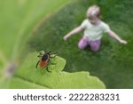 Small photo of Castor bean tick over child playing in green grass. Ixodes ricinus. Closeup of parasitic mite hidden on nature leaf near blur small girl sitting on meadow or garden. Encephalitis or Lyme disease risk.