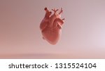 Pink Porcelain Anatomical Heart ...