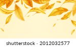 falling flying autumn leaves... | Shutterstock .eps vector #2012032577