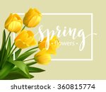Spring Text With  Tulip Flower. ...