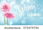 gerbera flower background and... | Shutterstock .eps vector #572475754