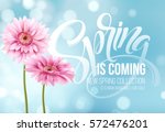 gerbera flower background and... | Shutterstock .eps vector #572476201