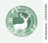 deer in the forest in the... | Shutterstock .eps vector #1255293481