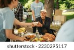 Group of Volunteers Helping in a Local Community Food Bank, Handing Out Free Food to People in Need in a Park on a Sunny Day. Man with Disabilities Using Wheelchair is Thankful for Charity Meal.