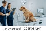 Small photo of Two Young Female and Male Veterinarians Using a Tablet Computer with Diagnosis Software. Golden Retriever Obediently Standing on Examination Table in a Modern Veterinary Clinic