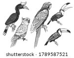 set of tropical birds. toucans  ... | Shutterstock .eps vector #1789587521