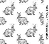 Hare Or Rabbit. Seamless...