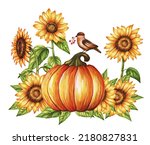 Pumpkin  Sunflower  Bird...