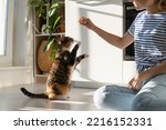 Small photo of Good-natured Caucasian woman plays with kitten and has good time sits on kitchen floor near stove. Active cat stands on two paws trying to reach hand of female hostess holding out piece of food