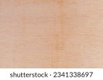 Small photo of Light rough textured cut surface of an African tree. Wood background or blank for design. A graphic resource or underlay for text or labels.