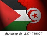 Small photo of Relations between Palestine and tunisia. Palestine tunisia