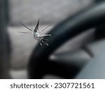 close up of a stone chip in the windshield of a car, detail shot of cracks in car glass on the drivers side