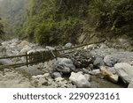 Small photo of destructed wooden bridge across the rivulet of buxa river surrounded by dense jungle at buxa tiger reserve