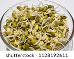 healthy mung sprouts | Shutterstock . vector #1128192611