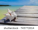 Dry white conch shell on The Long Dock in Cherokee Sound, Marsh Harbour, Abaco, The Bahamas. Old wooden dock stretches out over sea with beautiful blue sky in the background.