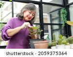 Small photo of Asian elderly woman at home She smiles happily to be able to plant trees and take care of them, soothing the mind and good health. The concept of living for the elderly in retirement