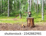 Small photo of Brewing a turkish style coffee in brassy cezve on liquid-fuel portable stove during wild camping in a forest