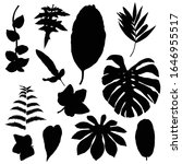 black various forest leaves set.... | Shutterstock .eps vector #1646955517