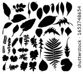 black various forest leaves set.... | Shutterstock .eps vector #1653748654