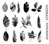 Leaf Silhouette Collection ...