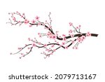 Cherry Blossom Branch With...