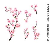 watercolor cherry blossom... | Shutterstock .eps vector #2079713221