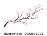 cherry blossom with watercolor... | Shutterstock .eps vector #2082539221