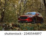 Red car. Detailed photo. Headlights, wheels, parts. Family car. City car. New car. In forest. 