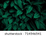 Green leaves pattern background ...