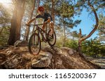 Cross-Country biker on forest trail. Male cyclist rides the rock